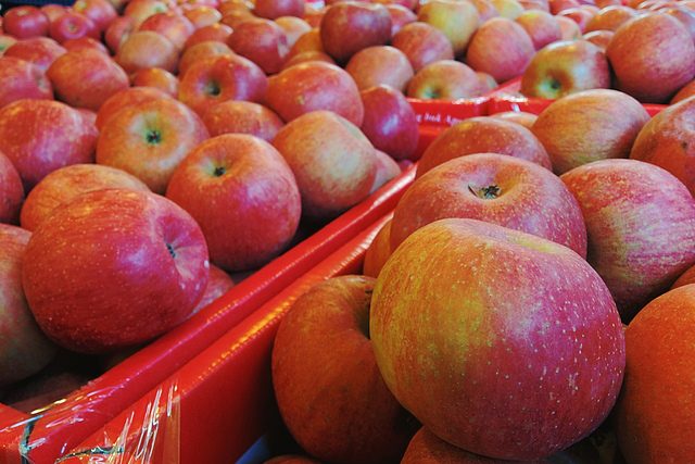 11702881534_d5aa52eb6e_z