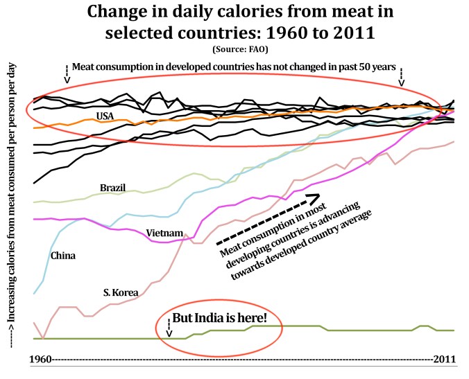 Veggie Over Time